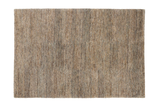 Cassian Fossil